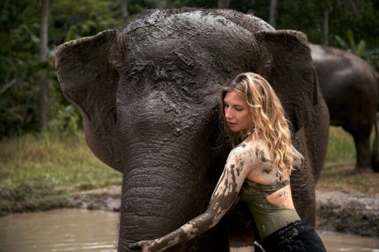 Elephant Care Experience With Mud Bath at Bali Zoo - Activity Details