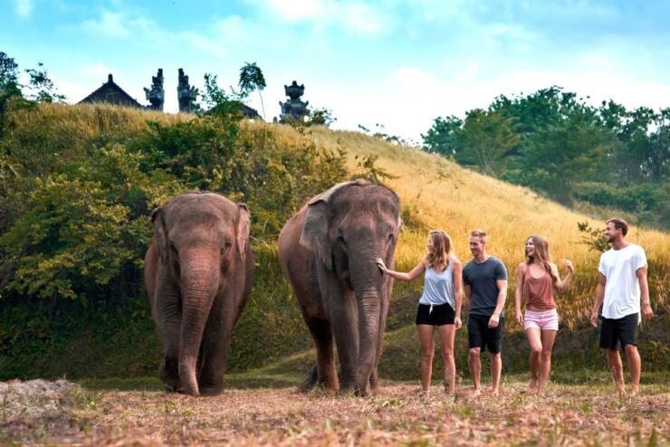 Elephant Care Experience With Mud Bath at Bali Zoo - Elephant Care Experience