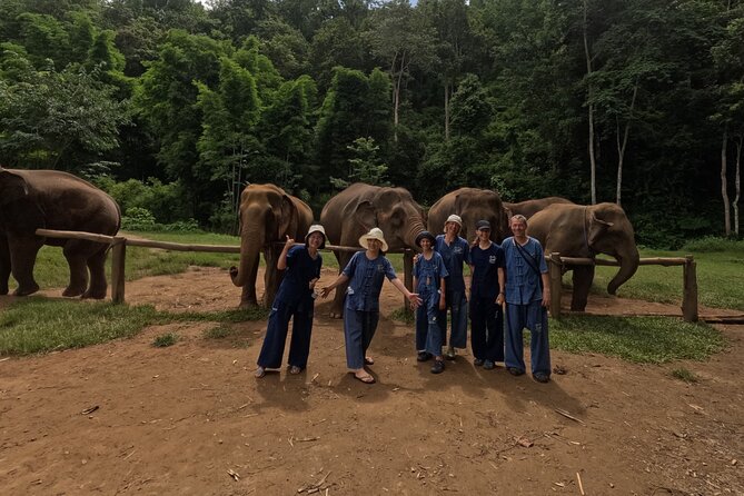 Elephant Care Program at Chiangmai Elephant Care - Traditional Thai Lunch