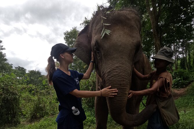 Elephant Care Program at Chiangmai Elephant Care - Optional Add-On Activities
