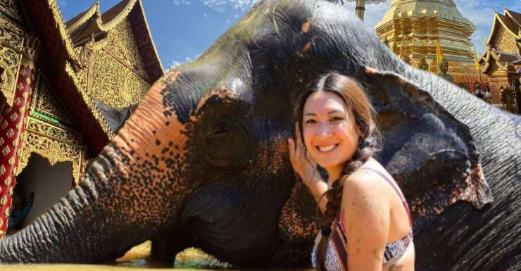 Elephant Care With Wat Umong, Doi Suthep and Night City View - Engaging With Elephants