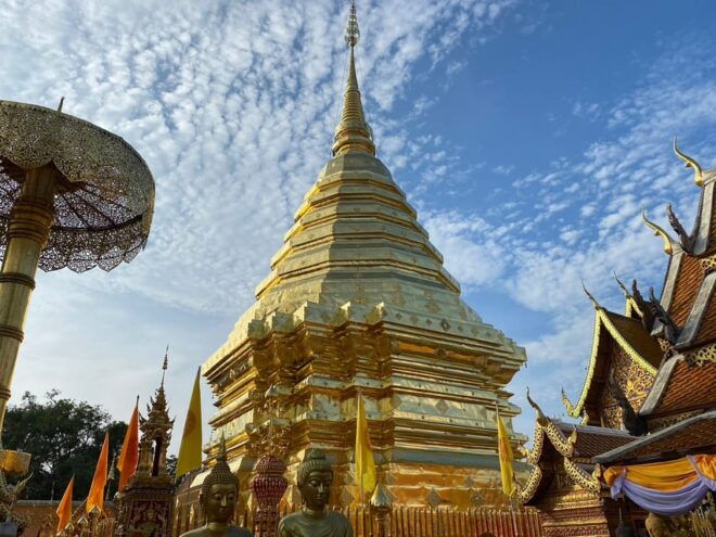 Elephant Care With Wat Umong, Doi Suthep and Night City View - Discovering Doi Suthep