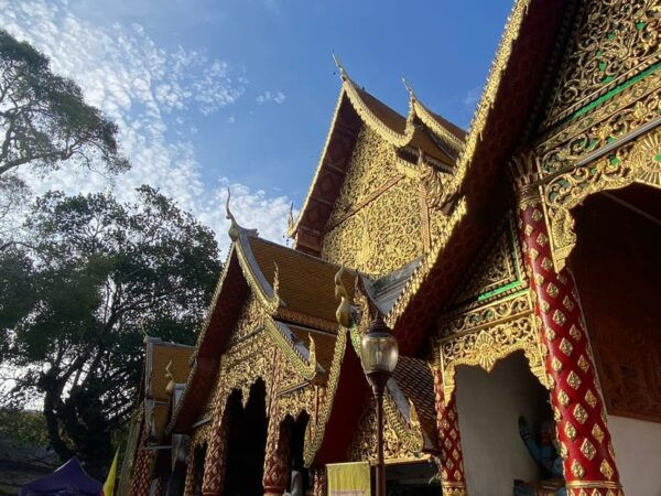 Elephant Care With Wat Umong, Doi Suthep and Night City View - Night City View Experience