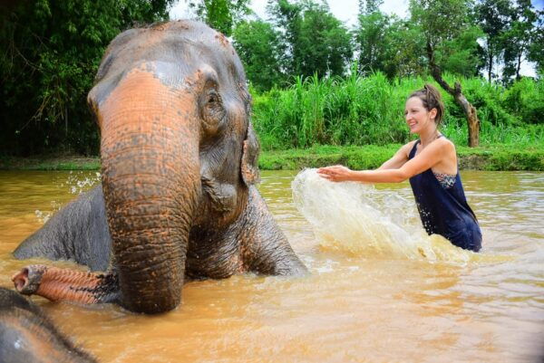 Elephant Care With Wat Umong, Doi Suthep and Night City View - Questions You May Have