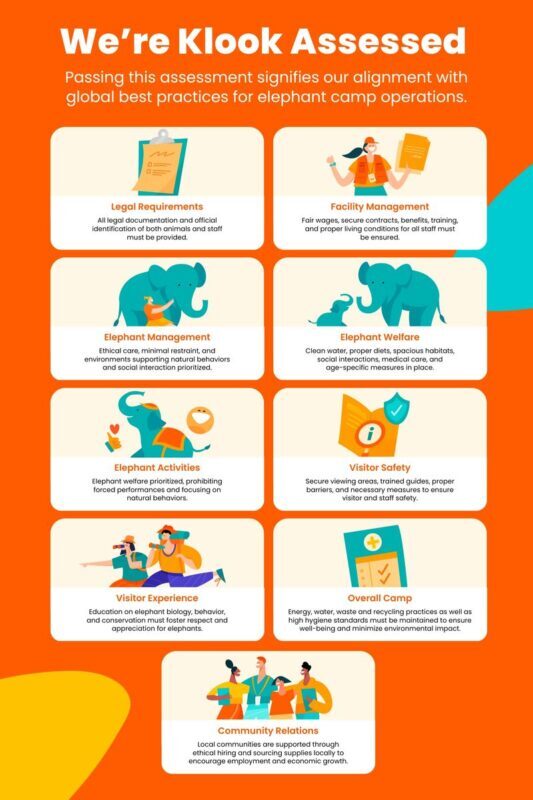 Elephant Day Care at Elephants World Kanchanaburi - What the price includes, and what it does not