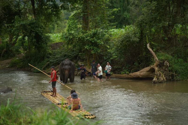 Elephant Eco Park Free Entry & ATV, Raft & Waterfall, Tribe - Good To Know