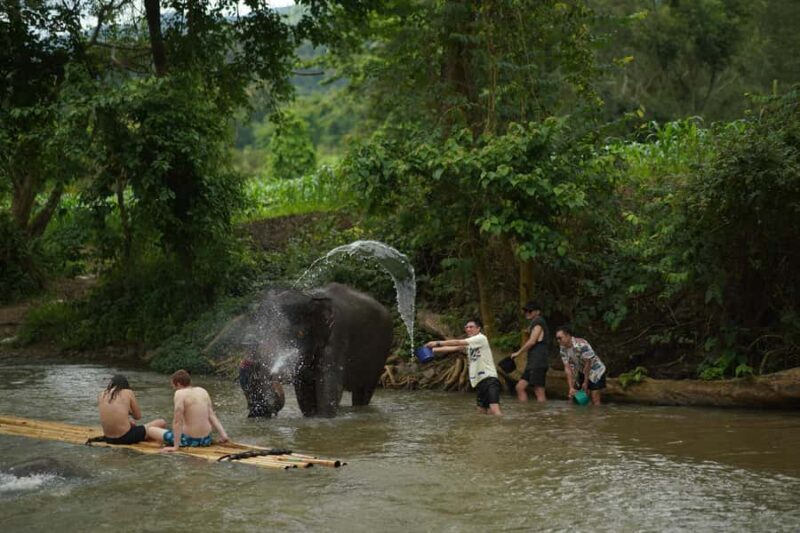 Elephant Eco Park Free Entry & ATV, Raft & Waterfall, Tribe - Good To Know