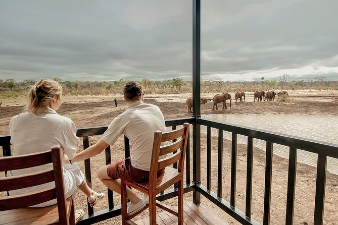 Elephant Encounter at Victoria Falls National Park - Reviews