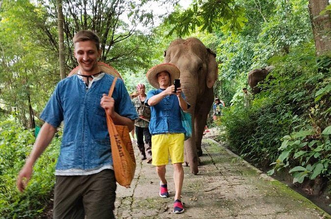 Elephant Experience and Hidden Jungle Waterfall Chiang Mai - Final Words