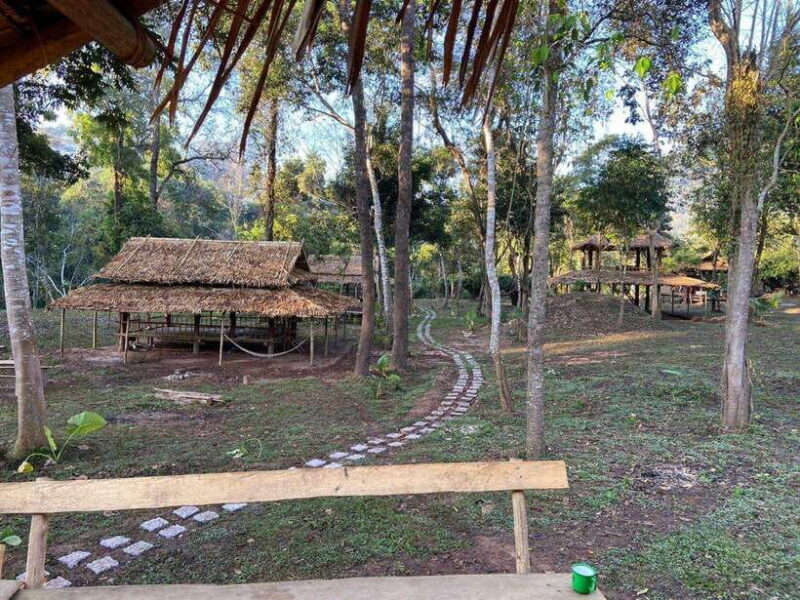 Elephant Home Sanctuary in Muang Thong Sayaboury Laos - Why Choose This Tour?