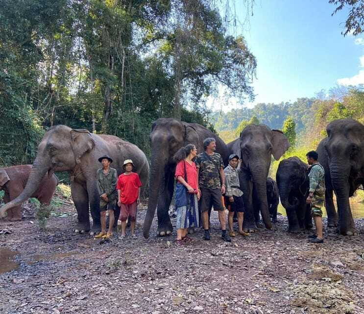 Elephant Home Sanctuary in Muang Thong Sayaboury Laos - FAQs