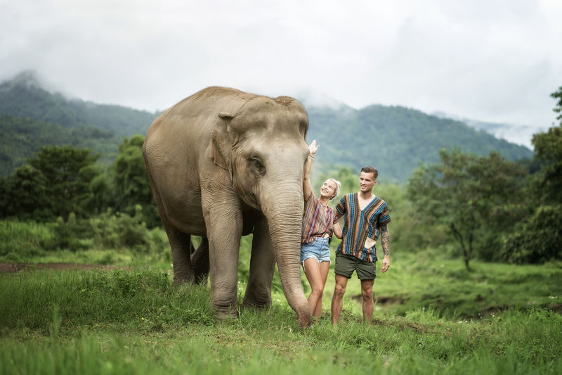 Elephant Jungle Sanctuary Chiang Mai Experience - Choosing between feeding, watching, and bathing