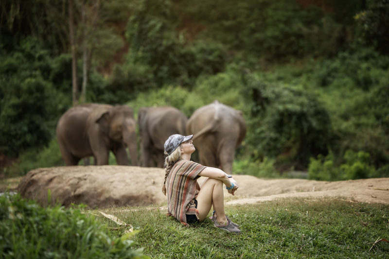 Elephant Jungle Sanctuary Chiang Mai Experience - Mud, river water, and the practical side of getting close