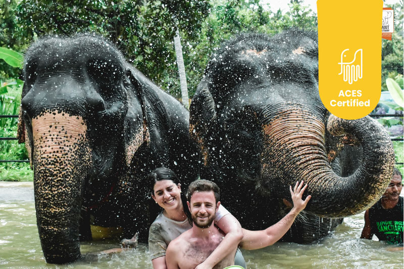 Elephant Jungle Sanctuary Experience in Koh Samui - At a glance: fruit baskets, close encounters, and practical caveats