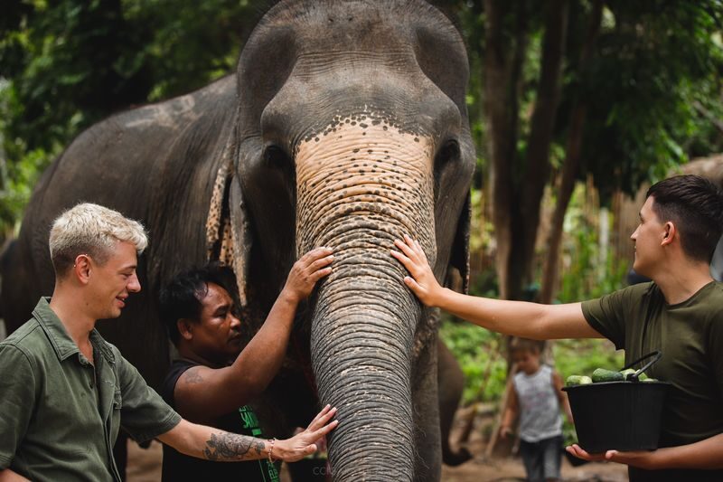 Elephant Jungle Sanctuary Experience in Koh Samui - How long the visit really takes