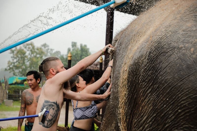 Elephant Jungle Sanctuary Experience in Koh Samui - What the longer program adds