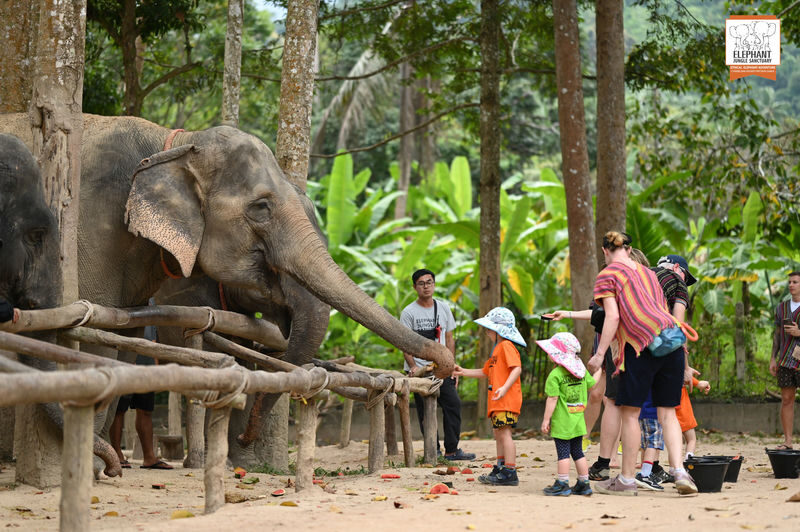 Elephant Jungle Sanctuary Experience in Koh Samui - A good fit for families, with a few limits
