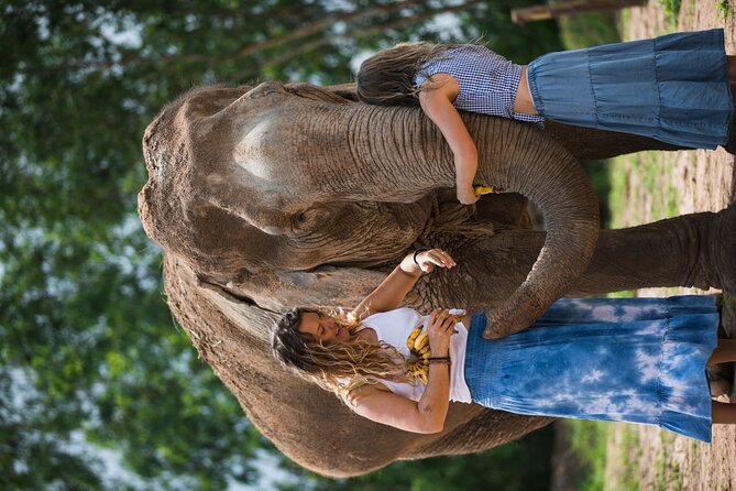 Elephant Jungle Sanctuary: Half Day Morning Program - Admission Ticket and Duration