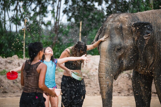 Elephant Jungle Sanctuary: Half Day Morning Program - Traveler Photos