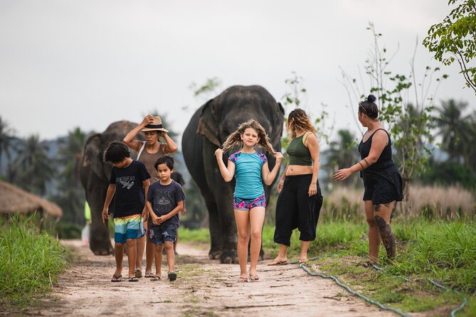 Elephant Jungle Sanctuary: Half Day Morning Program - Common Questions