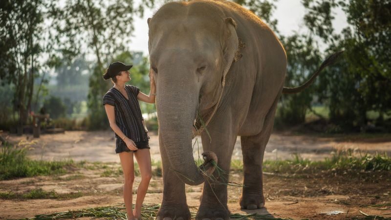 Elephant Jungle Sanctuary Pattaya Experience - The mud spa, shower, and getting muddy