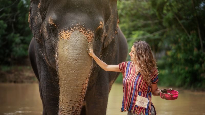 Elephant Jungle Sanctuary Phuket Experience - What the experience is like for families