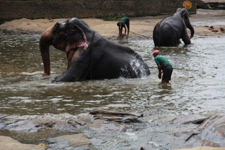 Elephant Keeper Experience Option Waterfall Day Tour - Tour Pricing and Duration