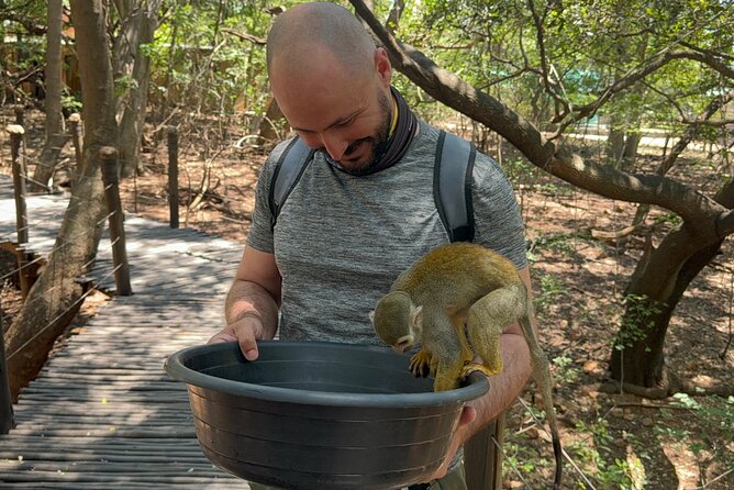 Elephant & Monkey Sanctuary Tour From Johannesburg - Must-Do Experiences