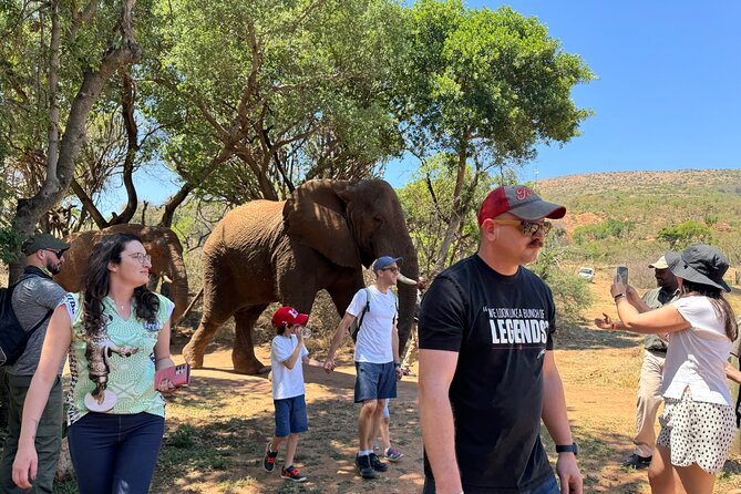 Elephant & Monkey Sanctuary Tour From Johannesburg - Questions and Information