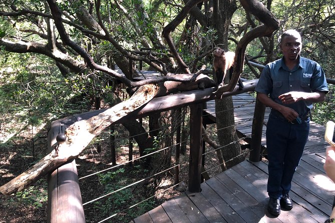 Elephant & Monkey Sanctuary Tour From Johannesburg - Directions