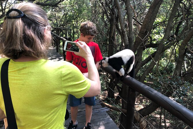 Elephant & Monkey Sanctuary Tour From Johannesburg - The Sum Up