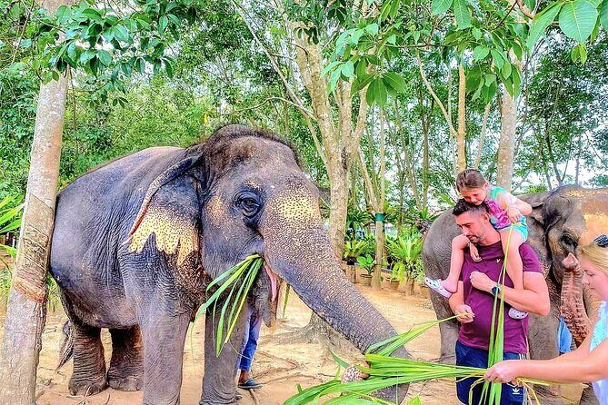 Elephant Nature Care, the largest elephant sanctuary on Koh Samui - The Sum Up: Who Will Love This Tour?