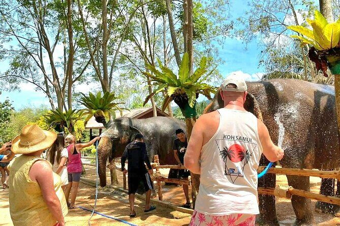 Elephant Nature Care, the largest elephant sanctuary on Koh Samui - Frequently Asked Questions