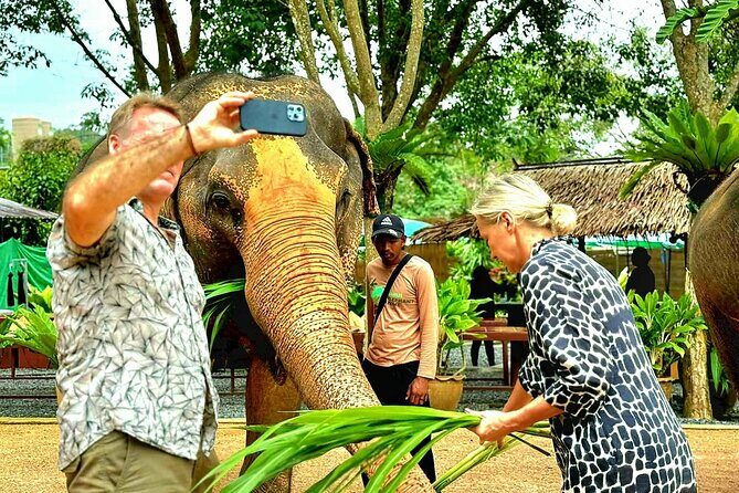 Elephant Nature Care, the largest elephant sanctuary on Koh Samui - What We Love About Elephant Nature Care