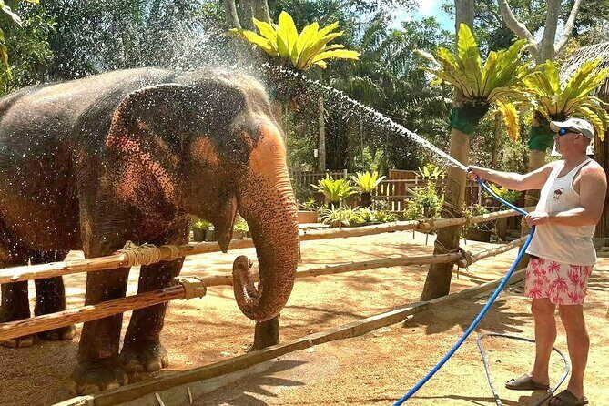 Elephant Nature Care, the largest elephant sanctuary on Koh Samui - Final Thoughts