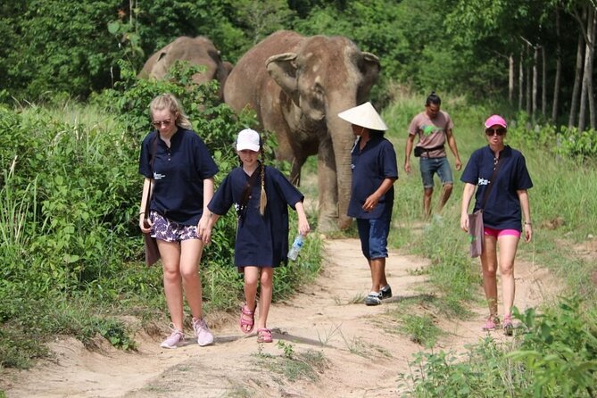 Elephant Nature Care, the Largest Elephant Sanctuary on Koh Samui - Booking and Logistics