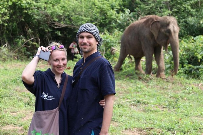 Elephant Nature Care, the Largest Elephant Sanctuary on Koh Samui - The Sum Up