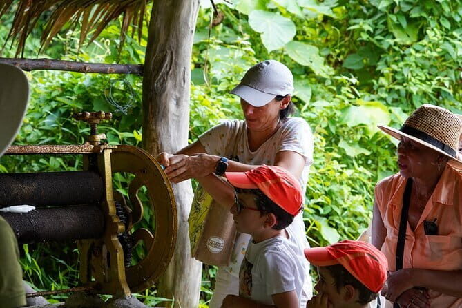 Elephant Nature Experience with Lunch at Bukit Elephant Park - FAQ