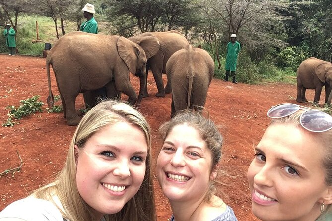 Elephant Orphanage, Giraffe Centre& Optional Nairobi Nationalpark - Accessibility & Health Guidelines