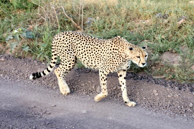 Elephant Orphanage, Giraffe Centre& Optional Nairobi Nationalpark - Directions & Tips