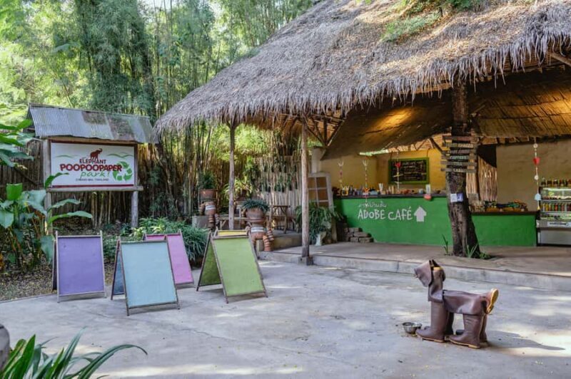 Elephant Poopoopaper Park Entry Ticket - What is Elephant Poopoopaper Park?