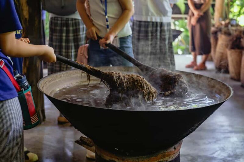 Elephant Poopoopaper Park Entry Ticket - The Value for Money