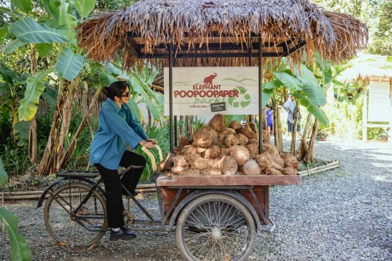 Elephant Poopoopaper Park Entry Ticket - Frequently Asked Questions