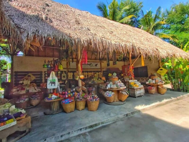 Elephant Poopoopaper Park Entry Ticket - What is Elephant Poopoopaper Park?