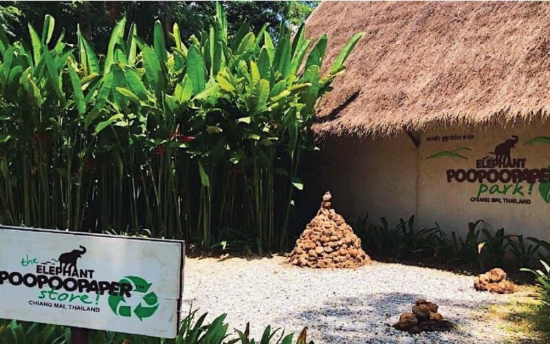 Elephant Poopoopaper Park Entry Ticket - Accessibility and Practical Details