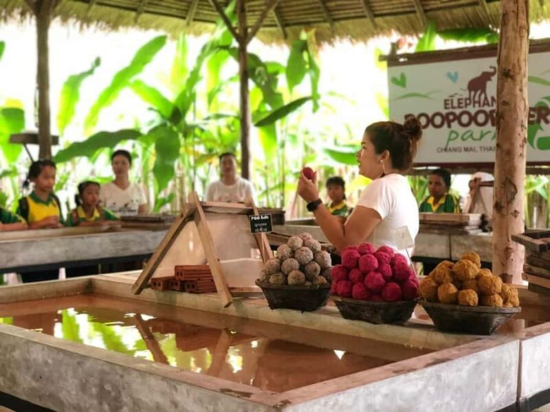 Elephant Poopoopaper Park Entry Ticket - Is It Worth the Price?