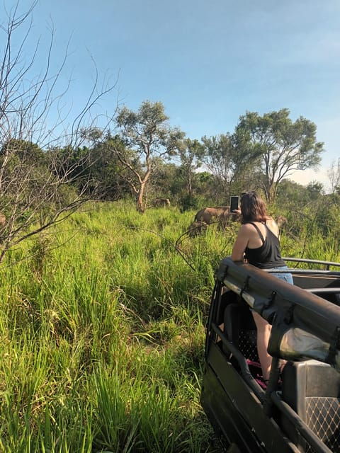 Elephant Safari Minneriya National Park by 4×4 Safari Jeep - Good To Know