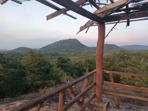 Elephant Safari Minneriya National Park by 4×4 Safari Jeep - Safety Measures