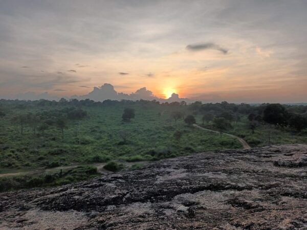 Elephant Safari Minneriya National Park by 4×4 Safari Jeep - Frequently Asked Questions