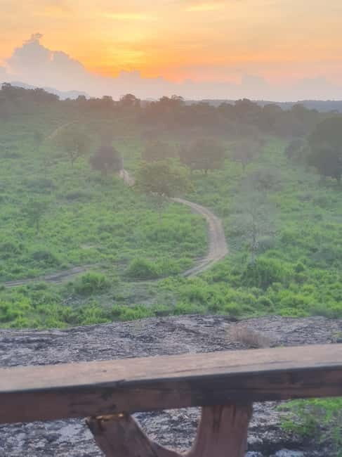 Elephant safari: Minneriya national park elephant safari - An In-Depth Look at the Minneriya Safari Experience